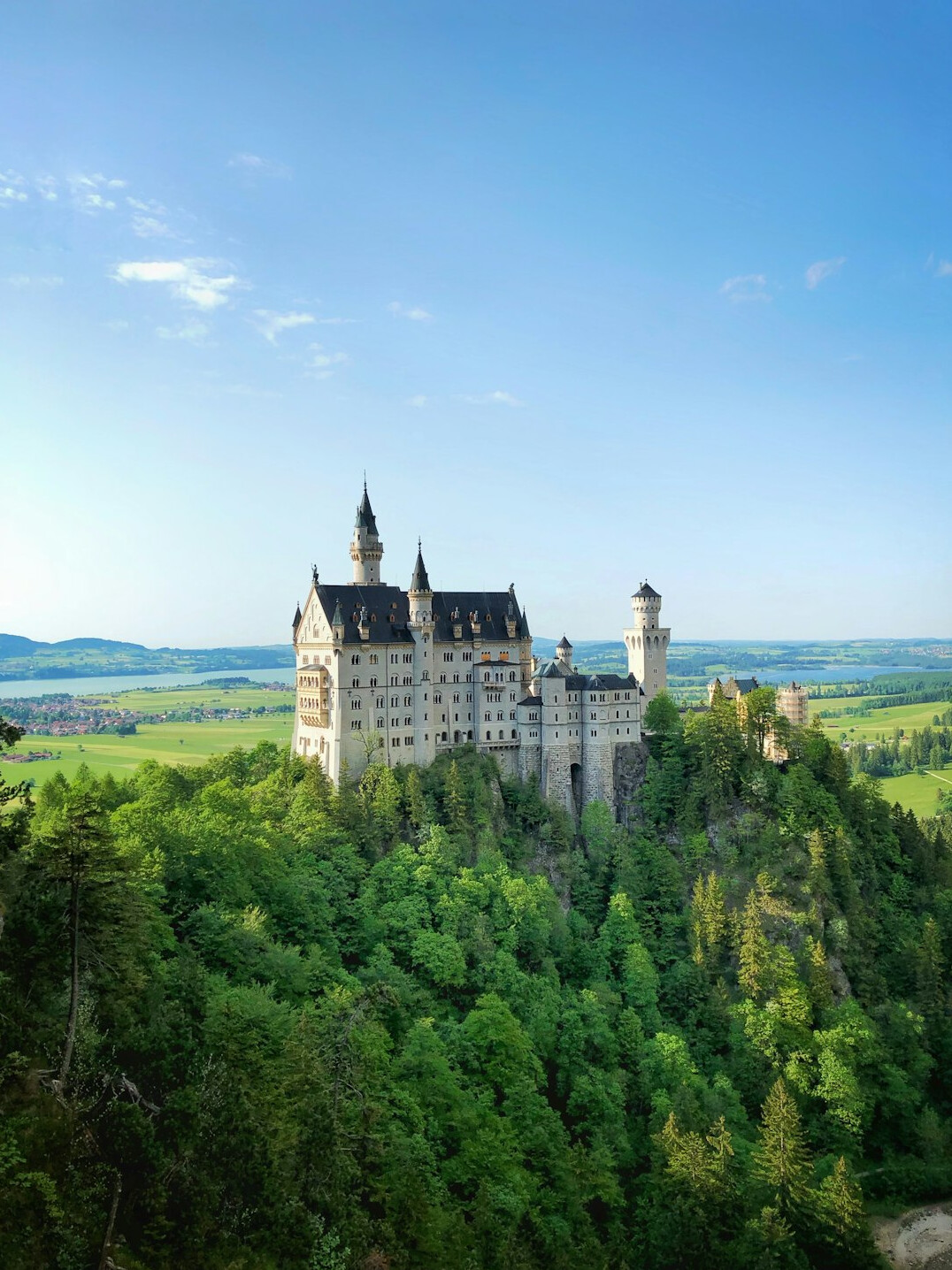 neuschwanstein castle on hill