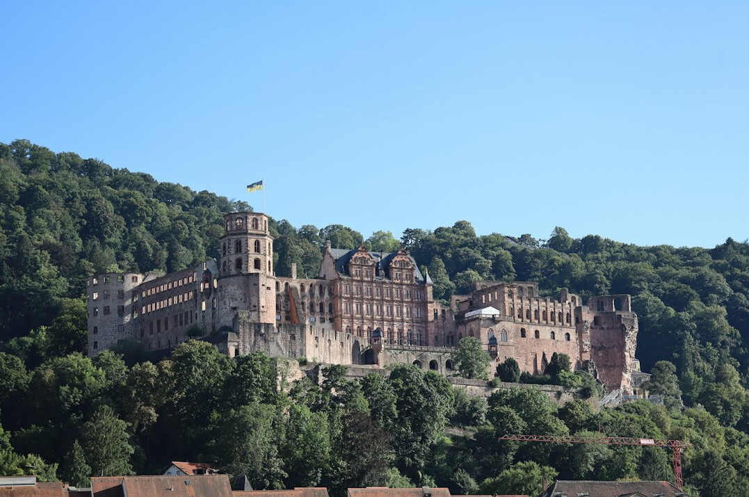 heidelberg castle at sunset